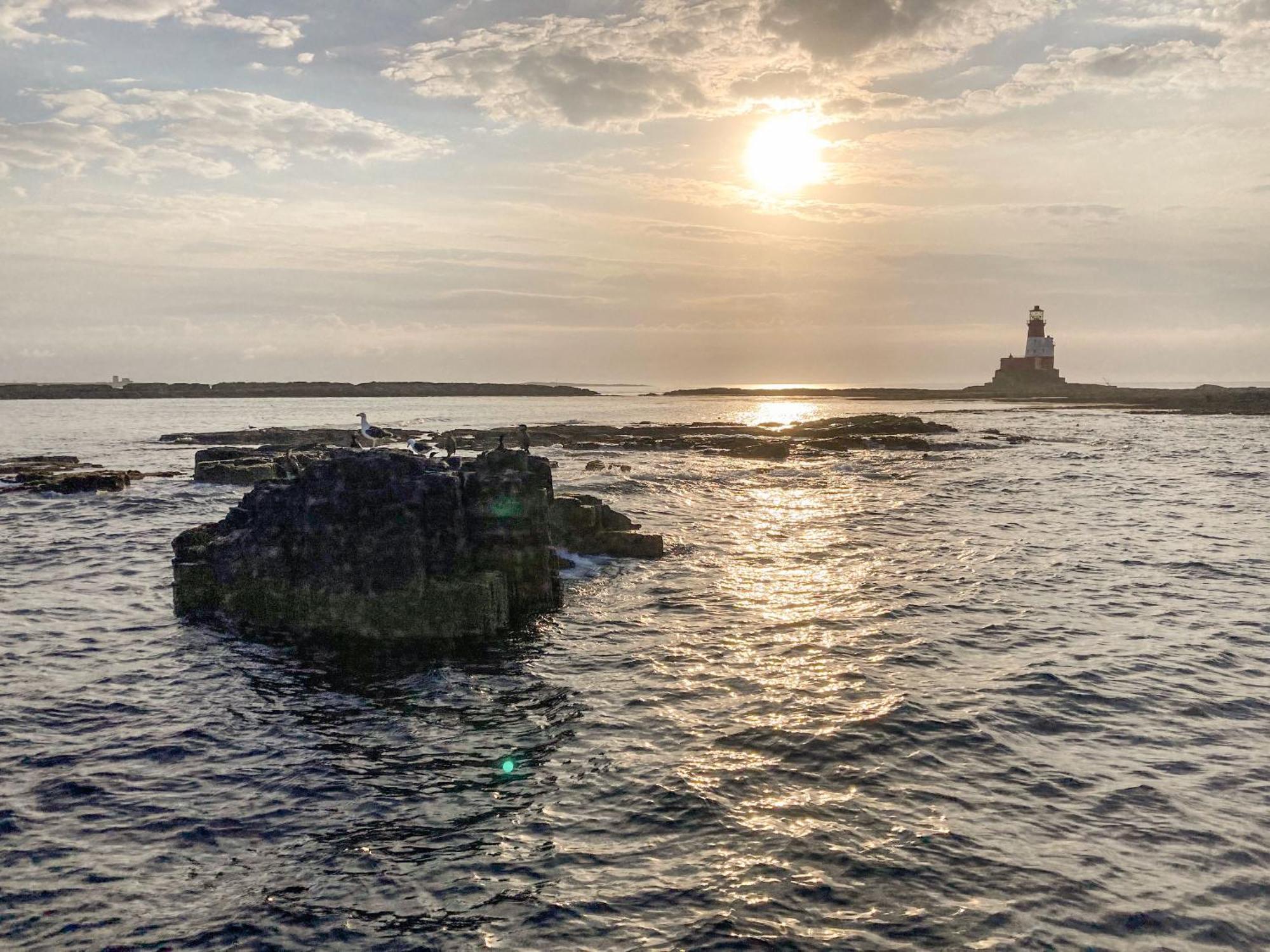 Dipper Cottage Seahouses Buitenkant foto