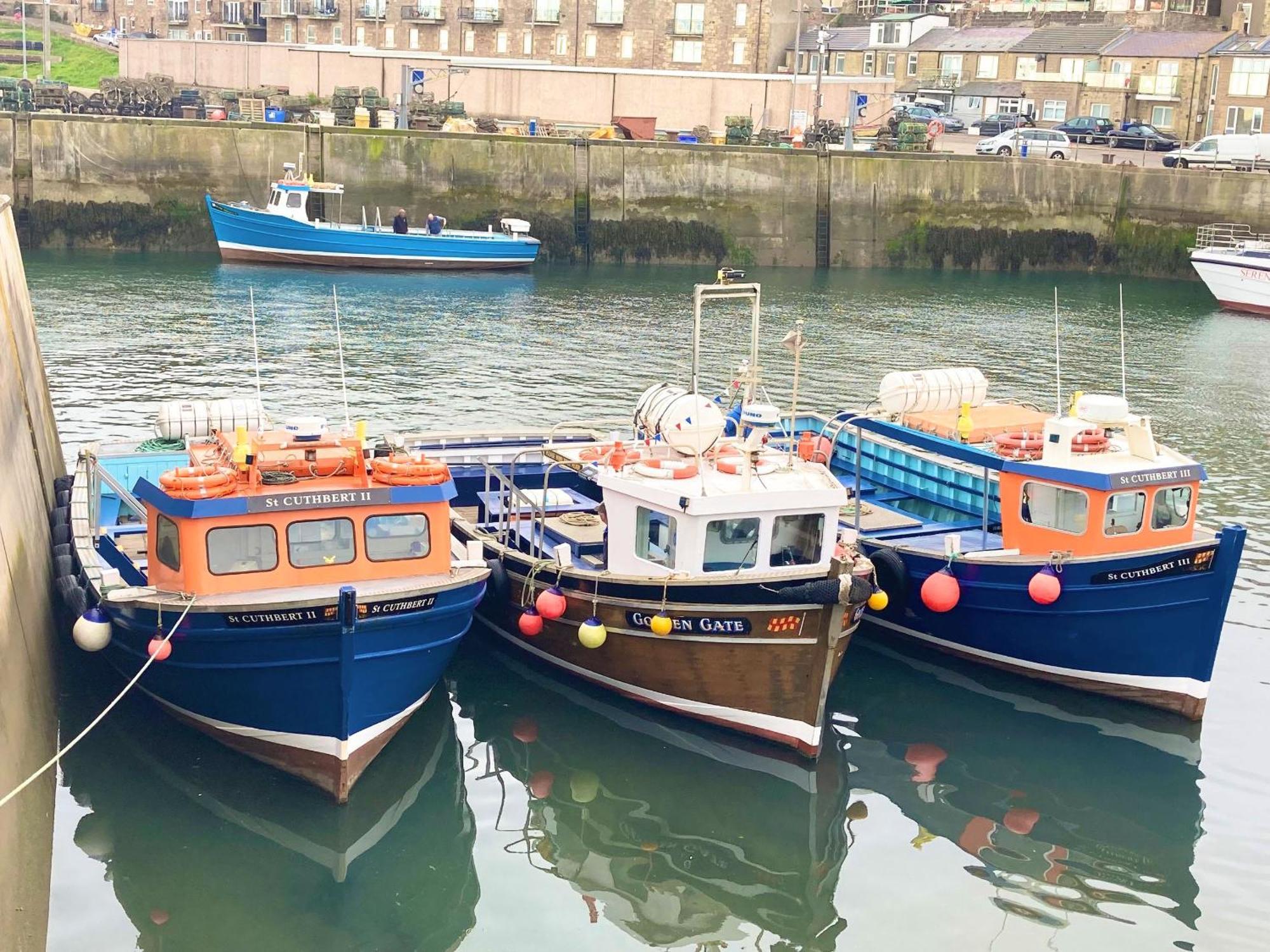 Dipper Cottage Seahouses Buitenkant foto